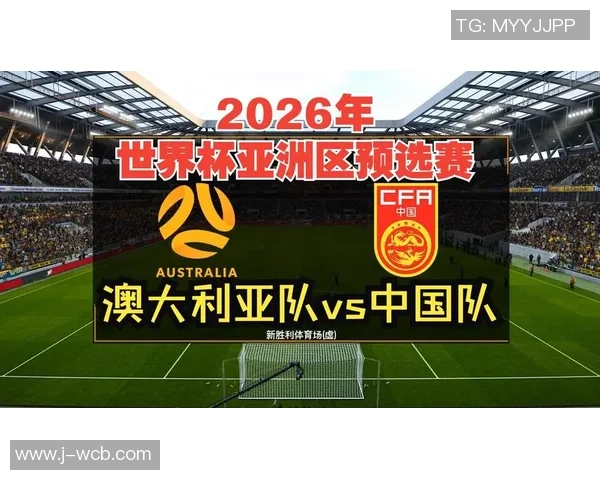 2026年世界杯足球亚洲区预选赛最新排名分析与展望