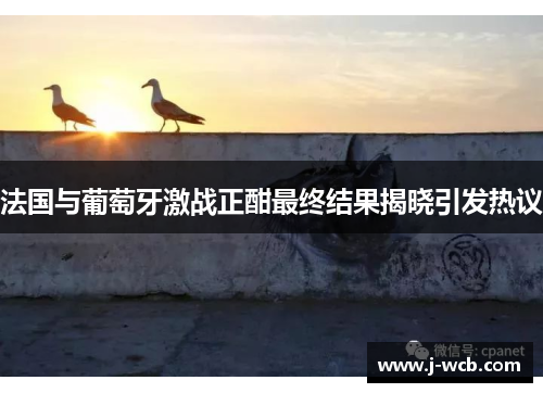 法国与葡萄牙激战正酣最终结果揭晓引发热议