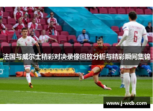 法国与威尔士精彩对决录像回放分析与精彩瞬间集锦